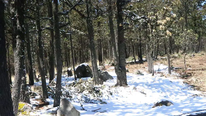 Nevada en el Cofre de Perote